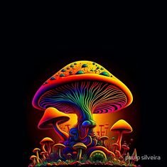 How Long Do Shrooms Stay in Your System