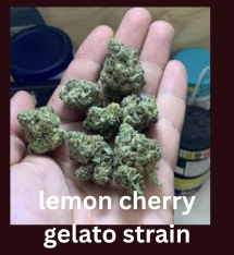 lemon cherry gelato strain